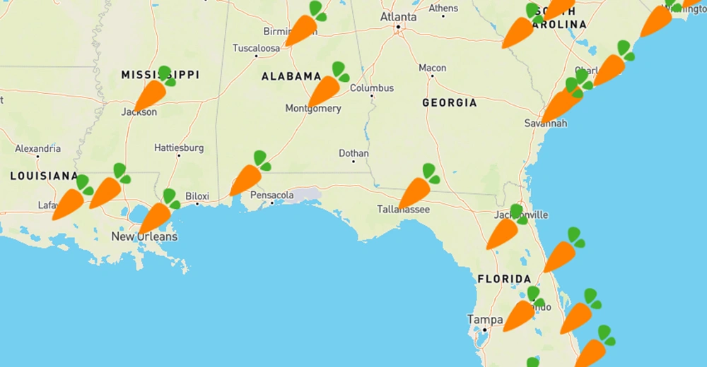 Publix locations